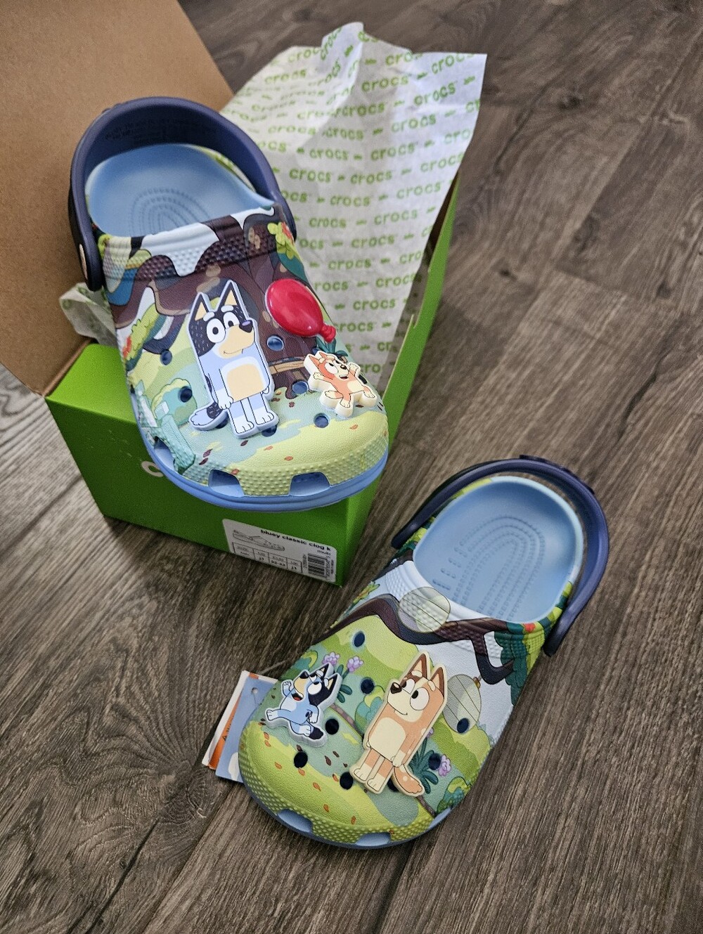 Bluey Crocs